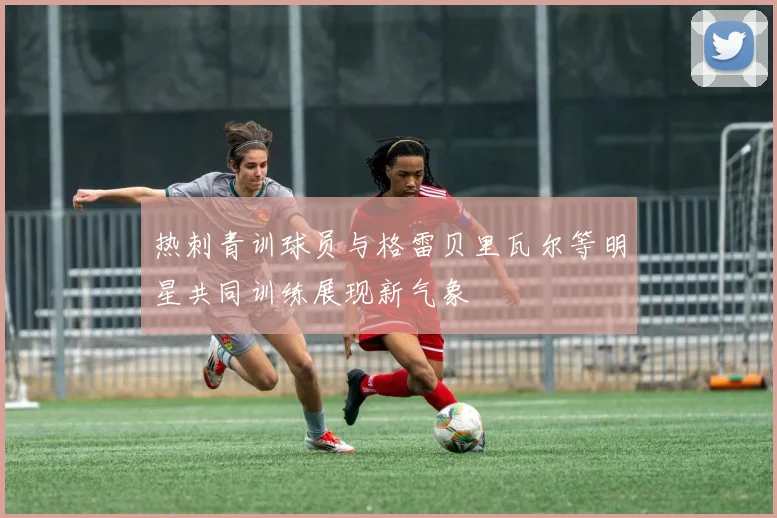 热刺青训球员与格雷贝里瓦尔等明星共同训练展现新气象