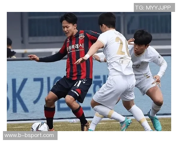 富川队历史性升入K1联赛水原FC五年后重返K2联赛 富川队历史性升入K1联赛水原FC五年后重返K2联赛